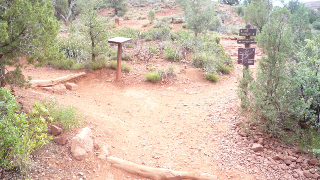 Sedona Vortex Boynton Canyon Vista Trail