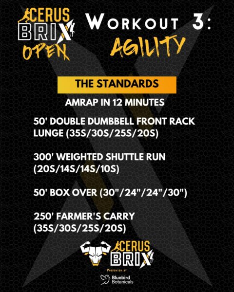 CerusBrix Open Agility Workout 2022