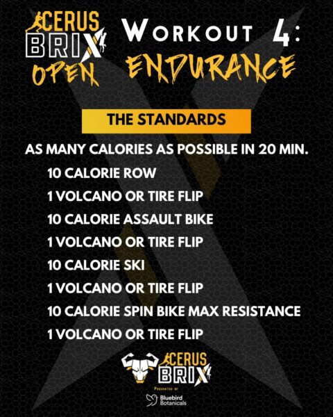 CerusBrix Open Endurance Workout 2022